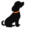 Canine Point