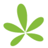 CannaSense Foundation