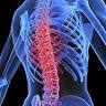 Cape Cod Pain Management