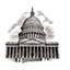 Capital Carpet LLC