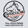 Capricolor Photo Studio