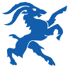Capricorn Information Systems