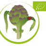 Carciofo di Montelupone biologico