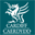 Cardiff Council Public Carriage (Hackney/Taxi) Office