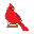 Cardinal Valley Builders LLC