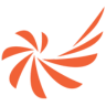 The Career Launcher