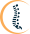 Dr. Connie's Market (part of Carolina Health Solutions)