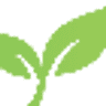 Carolina Terrain