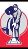 GO Carpet Cleaning