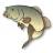 Carpfishingonline.net