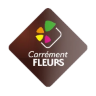 Carrément Fleurs - Fleuriste Nîmes 30 - Livraison de fleurs à domicile