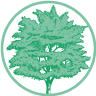 Allan Acton DDS