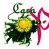Casa rural en Ordesa. Pirineo Aragonés. Actividades de aventura.