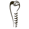 Cassity & Legacy Implants and Periodontics