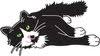 Cat Care Durango