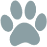Cat Care Hospital, Inc.