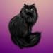 Cat Mad Gifts