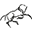Cavallino