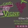 Le Cep De Vigne