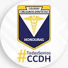 College of Dental Surgeons of Honduras