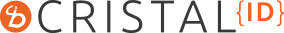 CDG LIMOUSINE Limousine Services | VIP Meet & Greet