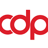 CDP Fastener Group Inc