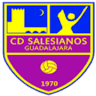 CD Salesianos Guadalajara