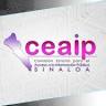 CEAIP (Comisión para el Acceso a la Información Pública)