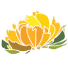 Cedarhouse Flowers