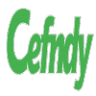 Cefndy Healthcare