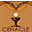 Cenacle Catholic Books & Gifts
