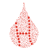 Central Coast Haematology
