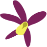 Mediterraneo