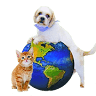 Veterinary Center Animal World