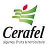 Cerafel