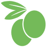 Certified Origins Italia Srl
