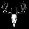 Chad Dodson Roofing Abilene