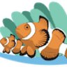 Champion Aquariums