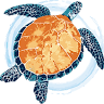 Changing Tides Yoga