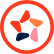 Charleston Orthodontic Specialists