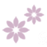 Charnelle lingerie and swimwear
