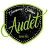 Chaussures Orthèses Audet
