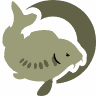 CherryCarp