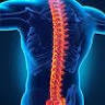 Chiropractic Family Health Centre