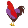 Chicken Place