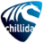 Chillida Sistemas De Seguridad S L
