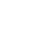 Chimney Techniques Stove Shop