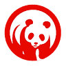 China Buffet