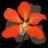 Chong Co Thai Restaurant Greenway