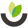 The Chopped Leaf